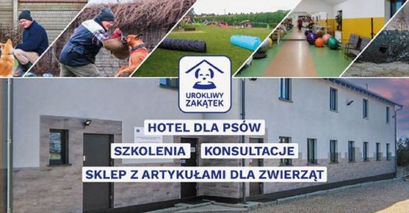przyjazna Szkolenia, kursy, Urokliwy Zakątek Hotel Dla Zwierząt, Szczepanowo